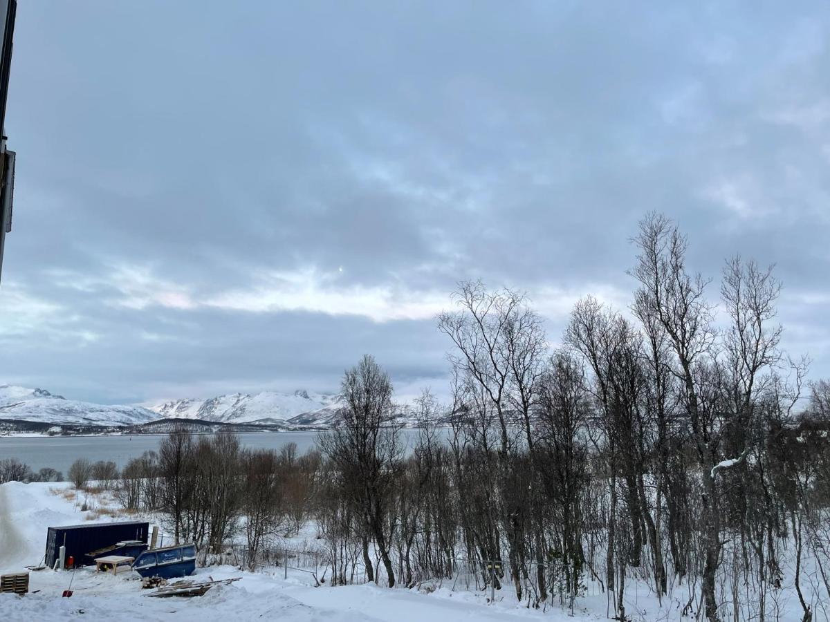 New Modern Apartment - Tromso West Luaran gambar